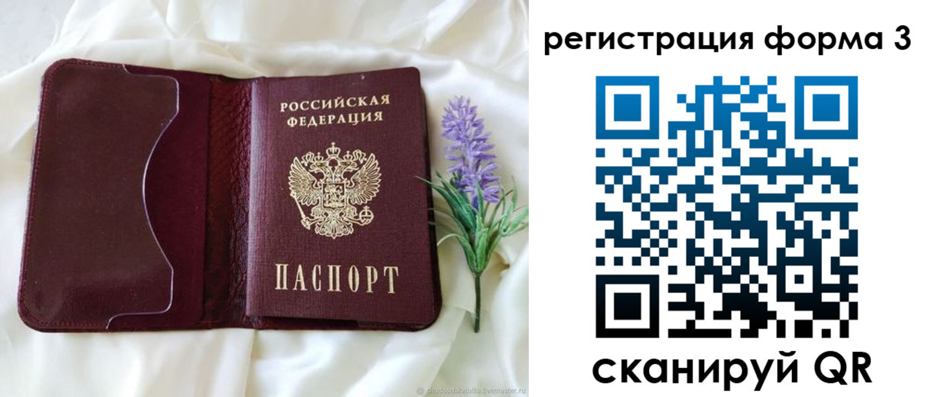 прописка для работы в Мытищах